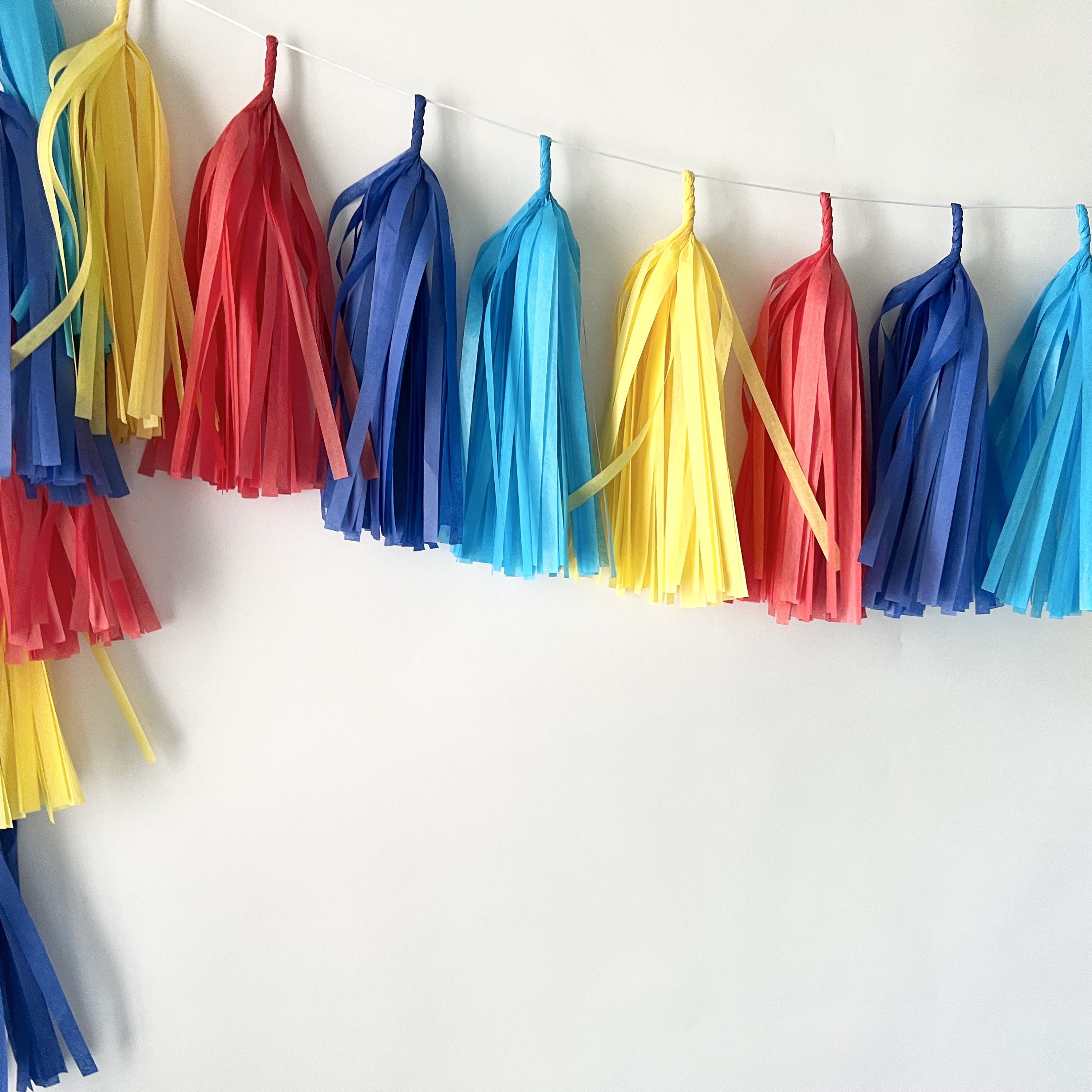 Carnival Tissue Tassel Garland - Tissue Paper Banner - Party Decor ...