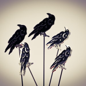 May include: Five black raven pins with silver accents. Each raven is perched on a thin black metal rod. The ravens have a crescent moon and star design on their bodies. The background is a gradient of light and dark gray.