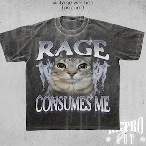 Rage Consumes Me Cat Shirt, Funny Cat Meme T-Shirt, Vintage Unhinged Cat Tee, Silly Cat Graphic Shirt, Weird Humor Unisex Shirt