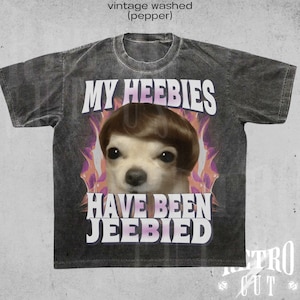 My Heebies Have Been Jeebied Shirt, Funny Meme T-Shirt, Retro Distressed Graphic Tee, Silly Gift for Men and Women, Weird Relatable Shirt