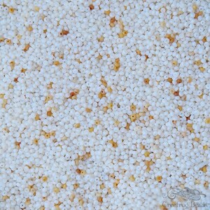 Antique Venetian glass microbeads in tiny size 18/0. Italian micro seed beads in sandy white opal. Very small beads for detailed beadwork.