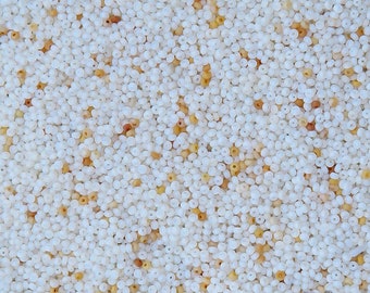 Antique Venetian glass microbeads in tiny size 18/0. Italian micro seed beads in sandy white opal. Very small beads for detailed beadwork.