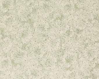 Puede incluir: Un patrón sin costuras con un fondo blanco y verde claro. El patrón presenta un diseño repetitivo de pequeños puntos verde claro y círculos verde claro más grandes con un patrón radial de puntos más pequeños.