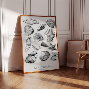 summer seashell wall art, beach room decor, college girl decor, beach vibes, black and white seashell art, seashell print, beach shell