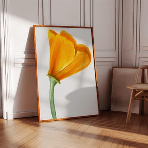 California poppy, Botanical print, California poppy art, wildflower prints, watercolor painting, wall art prints, floral prints, California
