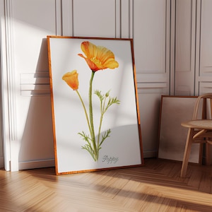 California poppy, Botanical print, California poppy art, wildflower prints, watercolor painting, wall art prints, floral prints, California