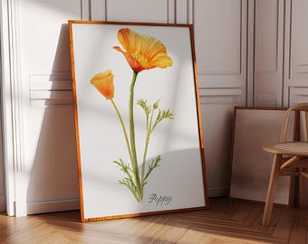 California poppy, Botanical print, California poppy art, wildflower prints, watercolor painting, wall art prints, floral prints, California