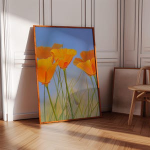 California poppy, Botanical print, California poppy art, wildflower prints, watercolor painting, wall art prints, floral prints, California