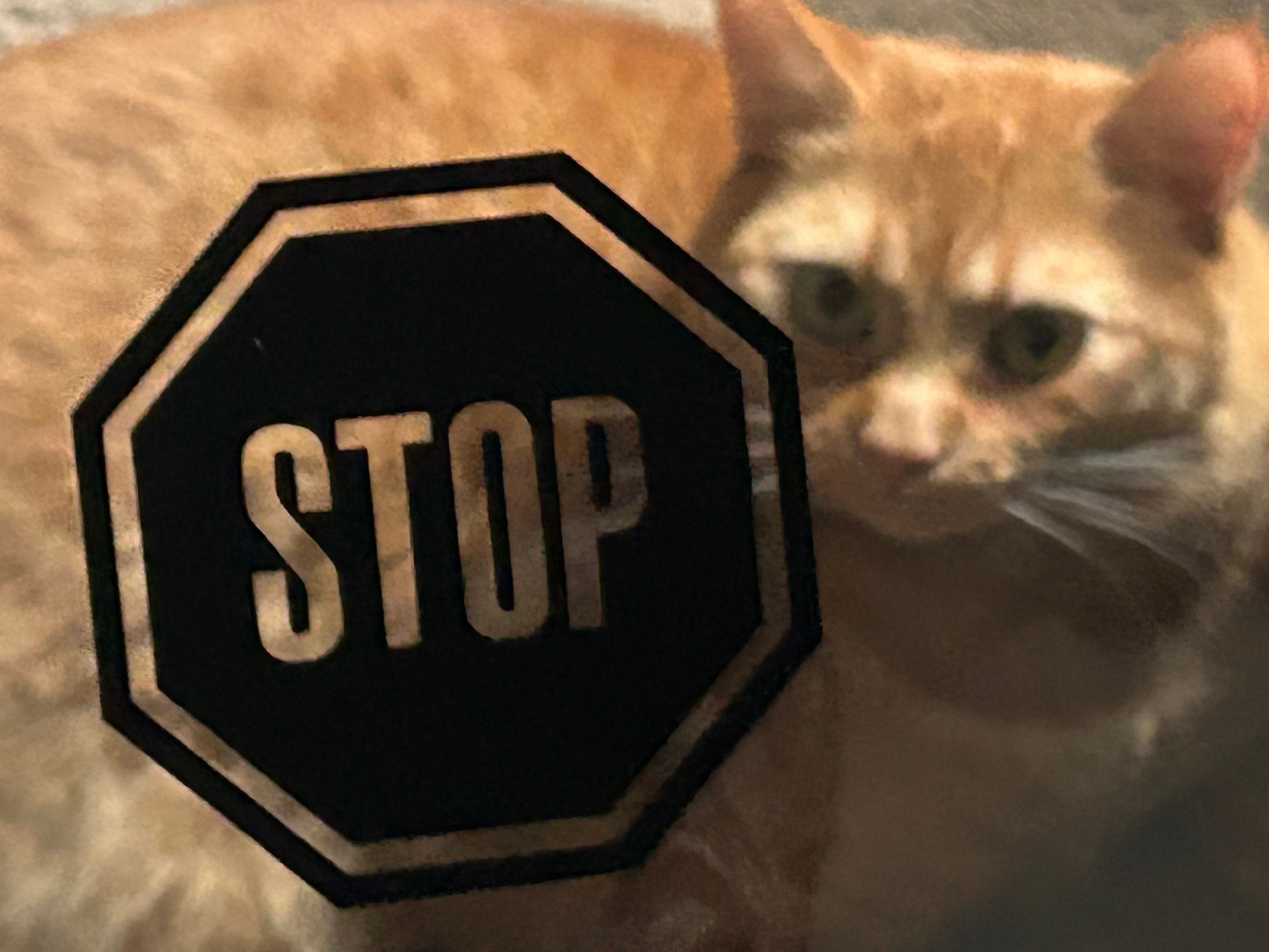 STOP Sign Decal Sticker // Water Bottle Vinyl // Available in Multiple ...