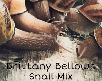 Paquete de muestra n.° 1: Alimento para caracoles con varios sabores a base de proteínas