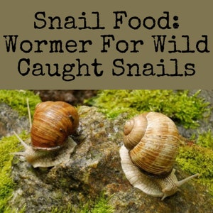 Wild Caught Wormer Snail Food - Protein Based Snail Food