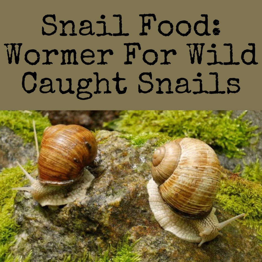 Wild Caught Wormer Snail Food Protein Based Snail Food Etsy