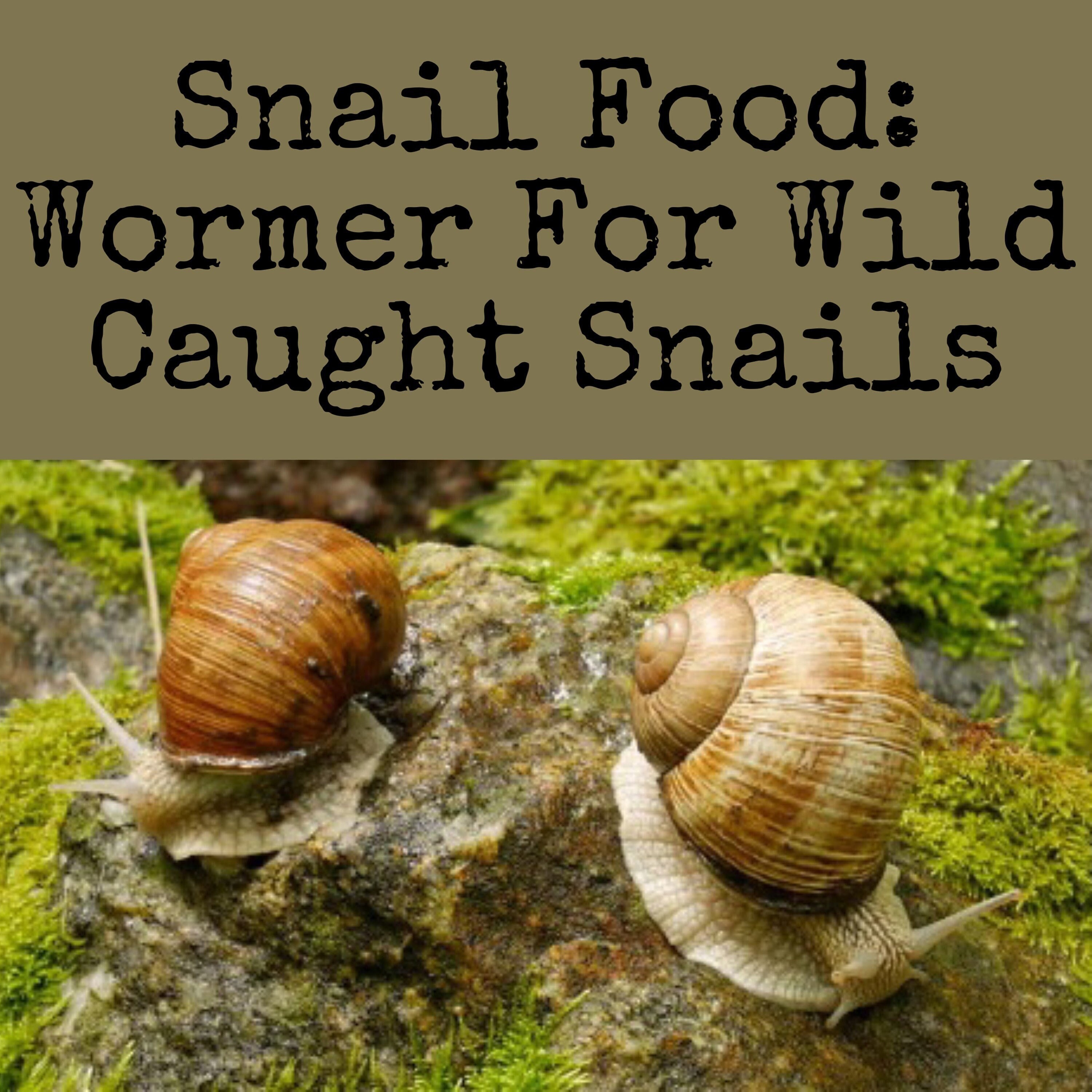 Wild Caught Wormer Snail Food Protein Based Snail Food Etsy Canada