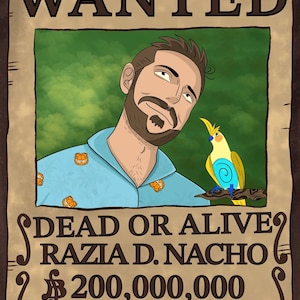 Wanted Poster One Piece Custom