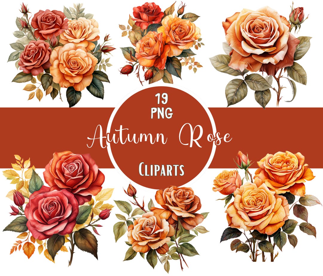 Watercolor Autumn Rose Png Fall Flower Clipart Bundle Flower ...