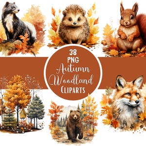 Aquarela Outono Floresta Clipart Pacote Outono Animal Sublimação Animal Floresta Png Outono Png Para Artesanato Infantil Diário De Lixo Scrapbooking