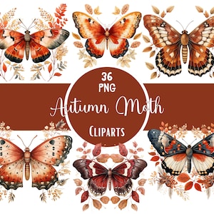 Aquarell Herbst Motte Clipart Hallo Herbst Motte Design Motte Illustration Motte Printable Insekt Clipart Für Herbst Junk Journal Scrapbook Art