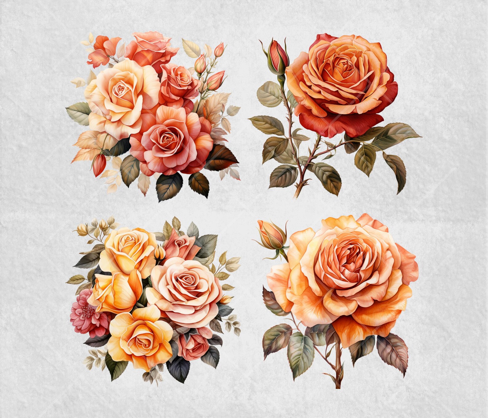 Watercolor Autumn Rose Png Fall Flower Clipart Bundle Flower ...