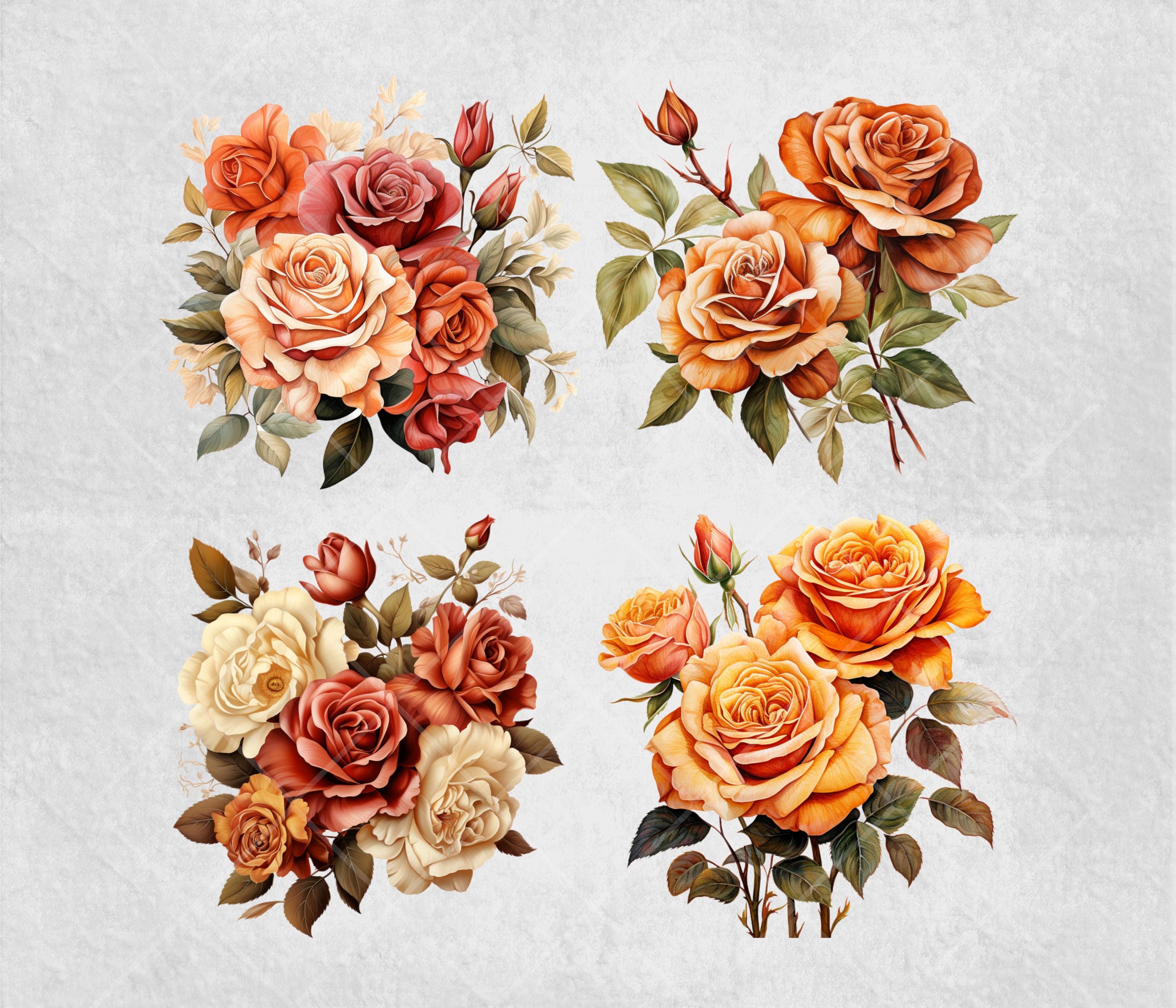 Watercolor Autumn Rose Png Fall Flower Clipart Bundle Flower ...