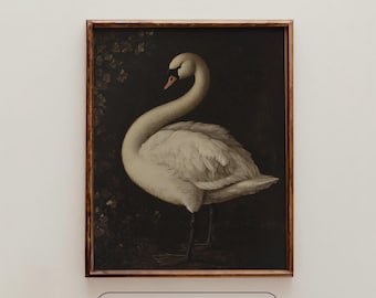 PRINTABLE Vintage Swan Print | Antique Bird Wall Art | Digital Download | Moody Farmhouse Decor | Dark Academia Oil Painting | Cottagecore