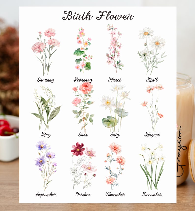 Puede incluir: Una impresi&oacute;n blanca con ilustraciones de acuarela de flores de nacimiento para cada mes del a&ntilde;o. El texto "Birth Flower" est&aacute; en la parte superior. Cada mes est&aacute; etiquetado con su nombre, como "Enero" y "Febrero".