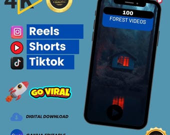 100 Forest Video Clips | HD/4K Nature Footage (Digital Download)