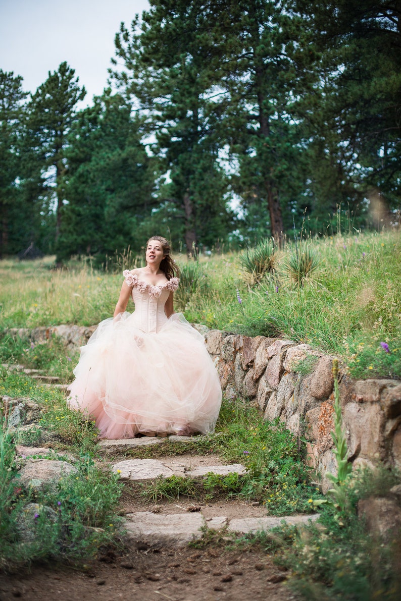 Pink Fairy Wedding Dress Blush Ball Gown Off the Shoulder Unique Corset Alternative Tulle Skirt Fantasy Petite to Plus Size Custom image 6