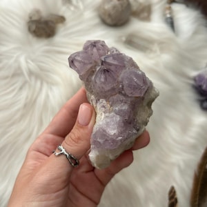 Spirit Amethyst Cluster | Natural Cactus Amethyst Druzy | Raw Amethyst Crystal | Unique Crystal Decor | Collector’s Specimen