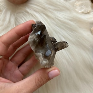 Cluster di quarzo fumé grezzo / Punte di quarzo fumé brasiliano / Formazione di quarzo naturale / Cristallo curativo per altare o meditazione / Regalo di pietra
