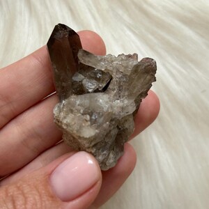 Cluster di cristalli di quarzo fumé / Quarzo brasiliano grezzo / Punti fumé naturali / Pietra di messa a terra / Esemplare di cristallo / Formazione rara