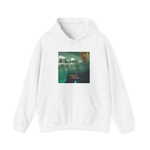 Rex Orange County - apricot princess Premium Unisex Hoodie, Musik Merch, Tour Merch Geburtstagsgeschenk