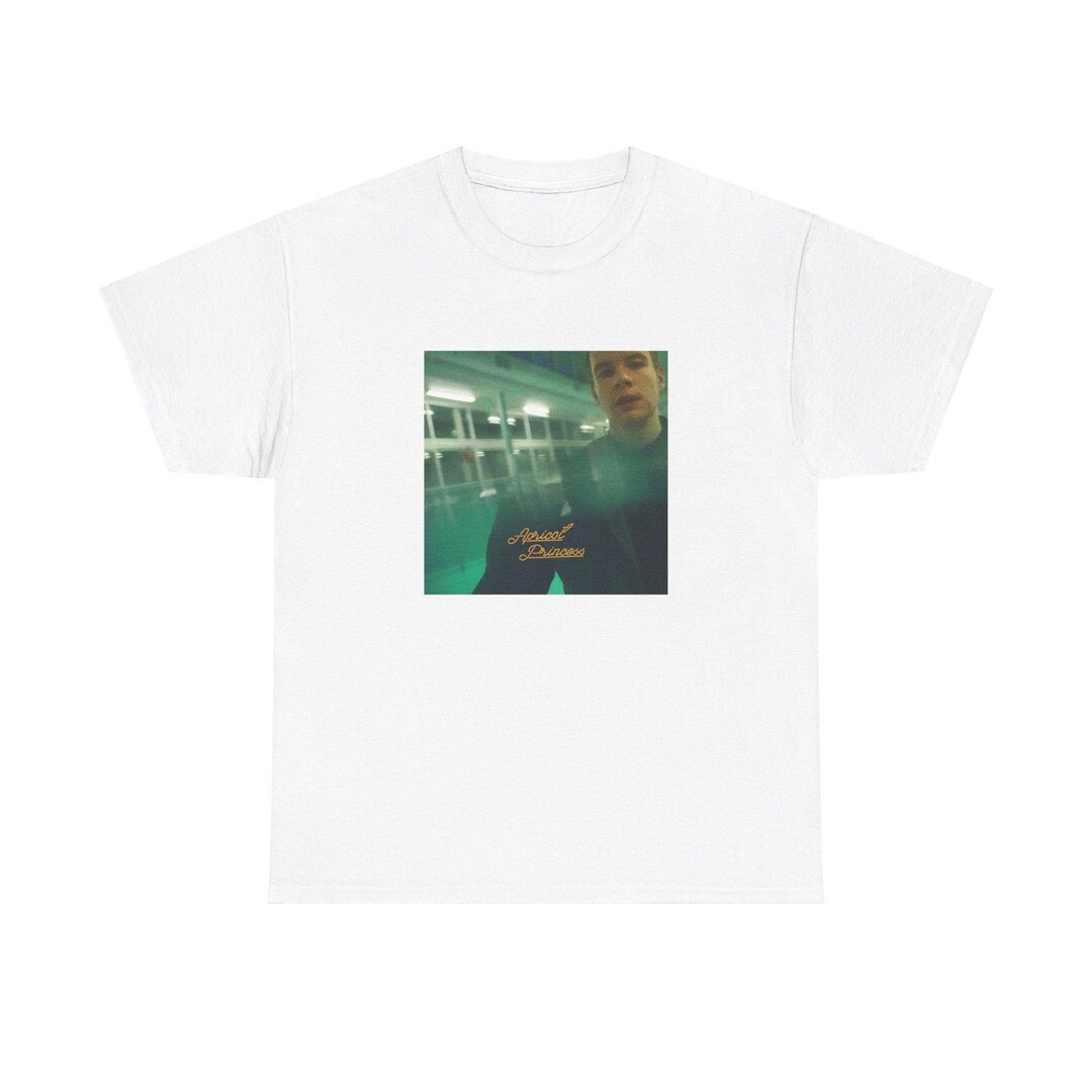 Rexorange Merch Rex Orange County - Apricot Princess Premium Unisex T-shirt, Music ...