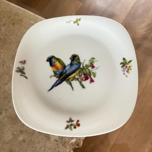 Limoges Blue Birds Of Paradise Small Porcelain Square Decorative Plate, Made In France, Collectable French Pottery