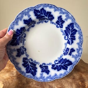 May include: White plate with a blue floral leaf pattern. The plate has a scalloped edge and a detailed border. The blue design is set against a white background. The plate is held by a person.