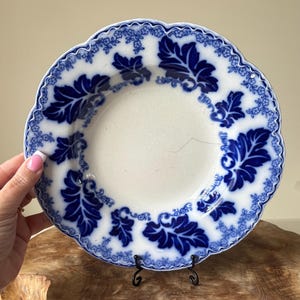 Puede incluir: Plato antiguo blanco y azul con un diseño decorativo de hojas y flores. El plato tiene un borde festoneado y está sostenido por un soporte de metal negro. El patrón azul es detallado.
