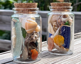 Seashell Decor Jar