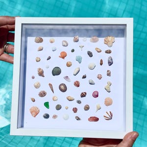 Oceanic Shadowbox Art