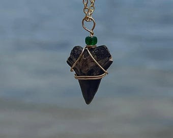 Versteende haaientandketting
