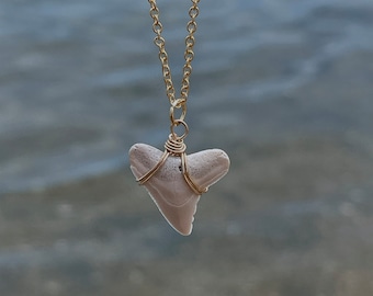 Bull Shark Tooth Necklace