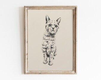 Vintage Style Custom Cat Drawing