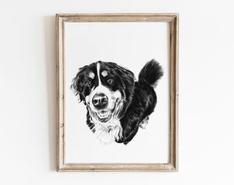 Custom Dog Drawing