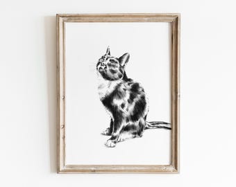 Custom Cat Drawing