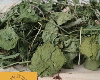 Garlic Mustard, dried .4 oz