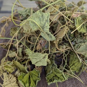 May include: Close-up of dried green leaves and stems. The leaves have a crinkled texture and vary in shades of green and brown. The stems are thin and wiry. The leaves are likely for herbal use.