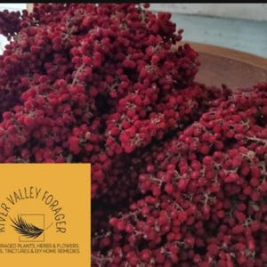Sumac Berries, dried.  1  LARGE bunch or 2 med