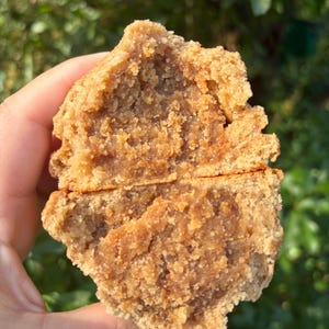 May include: A round, light brown baked cookie broken in half to reveal a dense, textured interior. The cookie has a crumbly, golden-brown surface and a soft, moist center, showing a consistent grain and baked appearance throughout the broken halves.