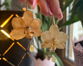 Small Beige Orange Brown Orchid Earrings Studs 18k Stainless Steel Genuine Freshwater Pearl Butterfly