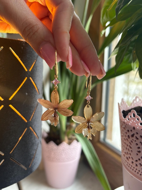 Beige Epidendrum Nordic Fire Orchideen Ohrringe 18k Gold