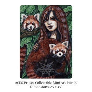 Afecto Edición limitada ACEO Impresión Pandas rojos Lindo Artista Tarjetas coleccionables ATC Arte fantástico Animales Chamán Hada