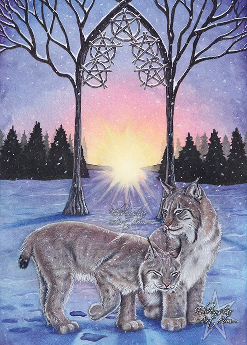 5 of Pentacles Tarot Card Art PRINT Lynx Snow Winter Sunrise Trees Blue Pink Cold Watercolor Colored Pencil Animals Cats 4 SIZES 5 x 7 inches